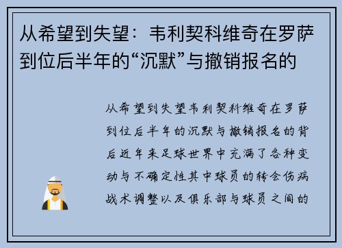 从希望到失望：韦利契科维奇在罗萨到位后半年的“沉默”与撤销报名的背后